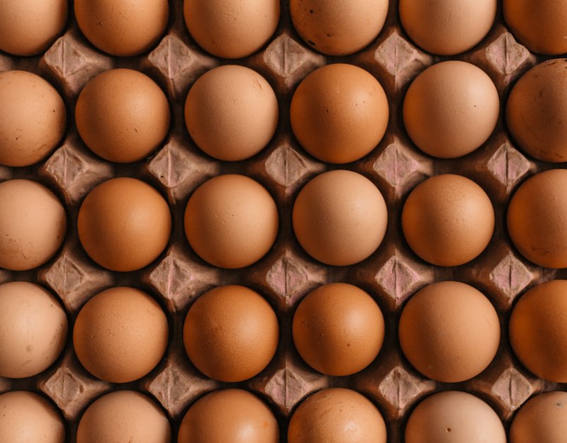 Proteinele în Alimentația Zilnică: Calitate, Surse și Rol Muscular