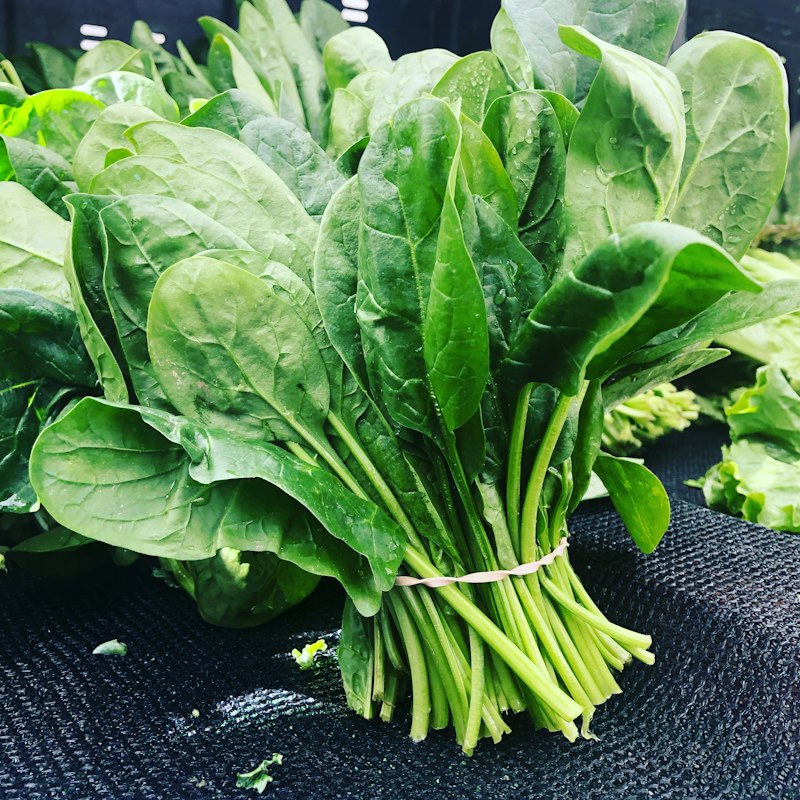 Vitamina K și Alimentele: Rolul în Coagulare și Densitate Osoasă